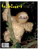 Yoko Ono: Cabinet Issue 29: Sloth, Spring 2008