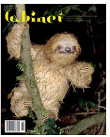 Cabinet Issue 29: Sloth, Spring 2008