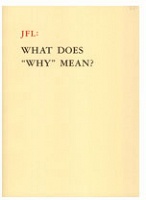 Octavian Esanu: JFL: What Does “Why“&#160;Mean?