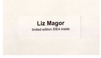 IDEA 2004: Liz Magor