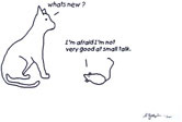 Small Talk 