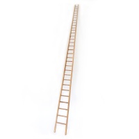 Goodchild_Ladder_web.jpg