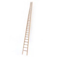 Goodchild_Ladder_web.jpg