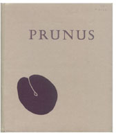 Prunus