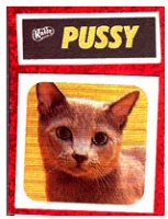 Katie Bush: Small Pussy&#160;Stickers