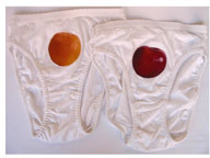 Women’s Briefs