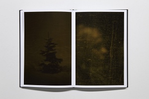 Dagmar Keller and Martin Wittwer: Passengers