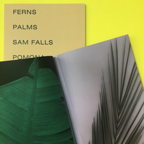 Ferns and Palms