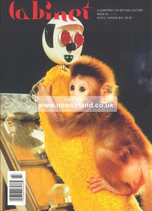 Cabinet Magazine Issue 55