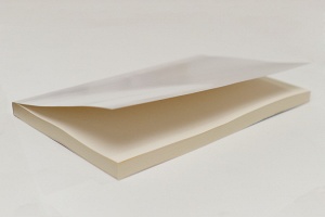 Susan Kordalewski: Things I Never Told You