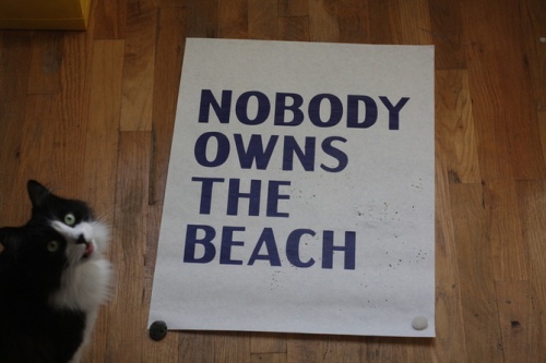 NOBODY OWNS THE BEACH