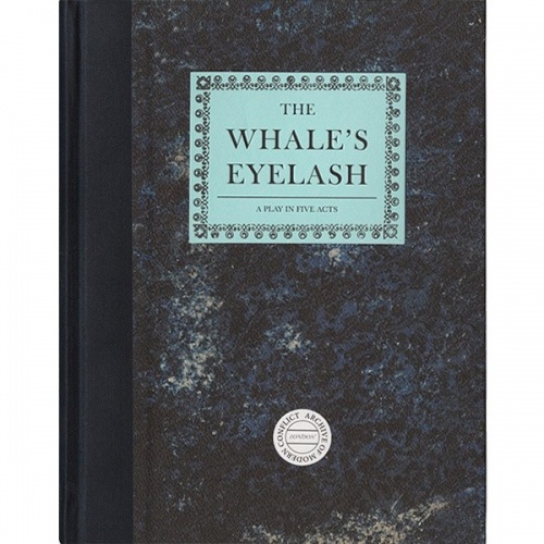The Whale’s Eyelash