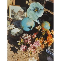 Stephen Gill: Hackney Flowers