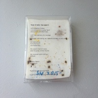 Sophy Naess: Soap of bold, free speech παρρησία