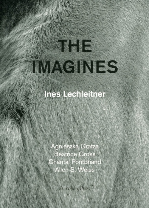 the imagines