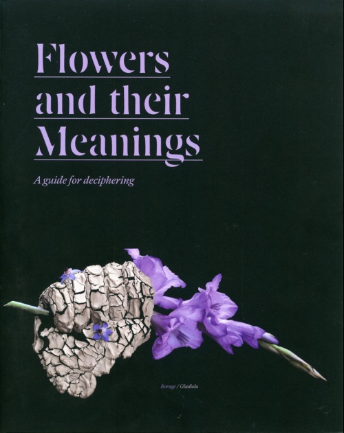 Flowers and their meanings