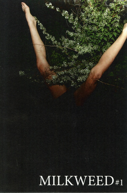 milkweed
