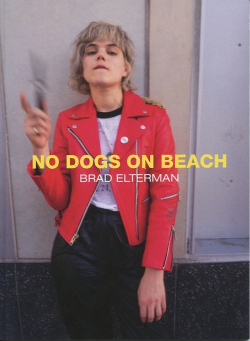 No Dogs on Beach