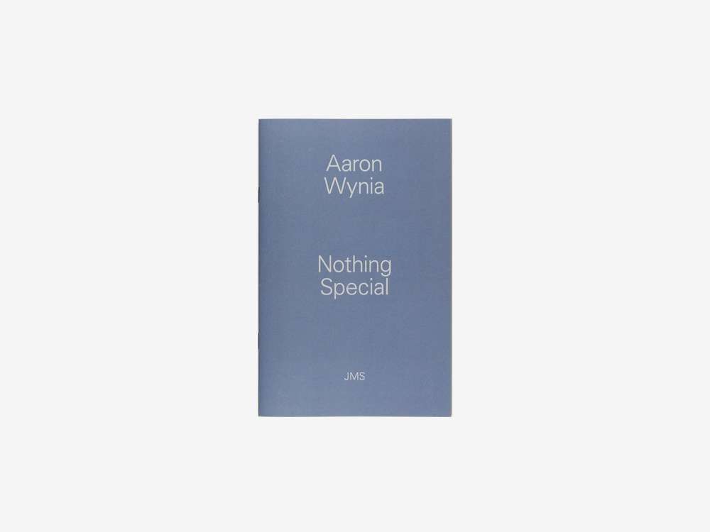 Nothing Special by Aaron Wynia