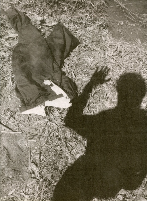 Untitled (Michel Auder)