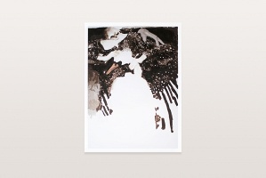 Margaux Williamson: Death Strangles the Swan