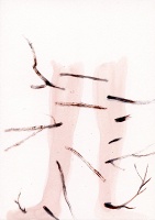 Banu Narciso: Sans Titre