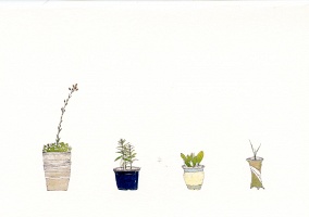 Hoyong Son:&#160;Plants