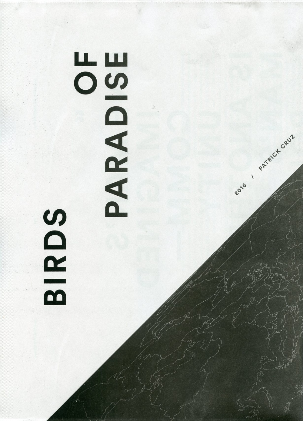 Birds of Paradise