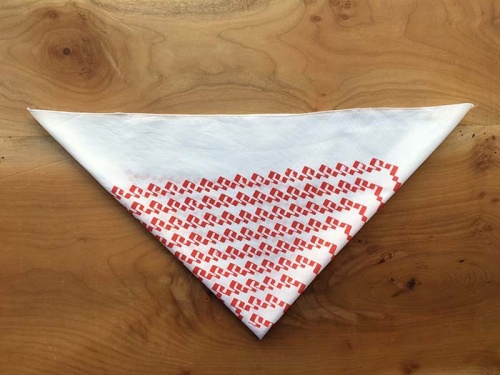 Tauba Auerbach bandana