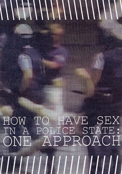 how to have sex in a police state