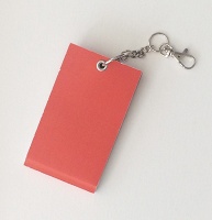 Jessica Baldanza: FASS-GUT