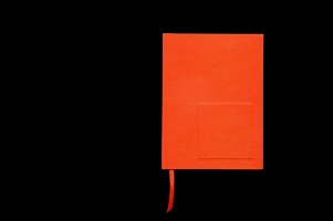 Luis Molina-Pantin: Orange&#160;Monochrome