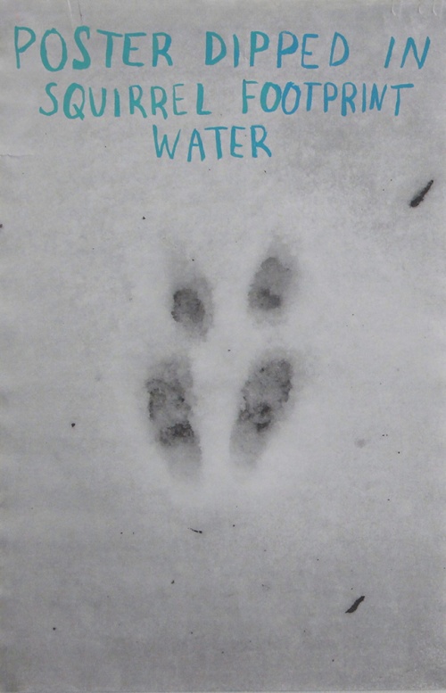 Poster Dipped in Squirrel Footprint Water01