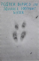 Maura Doyle: Poster Dipped in Squirrel Footprint&#160;Water