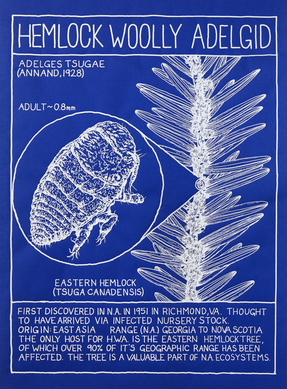 Mark Dion Wooly Adelgid