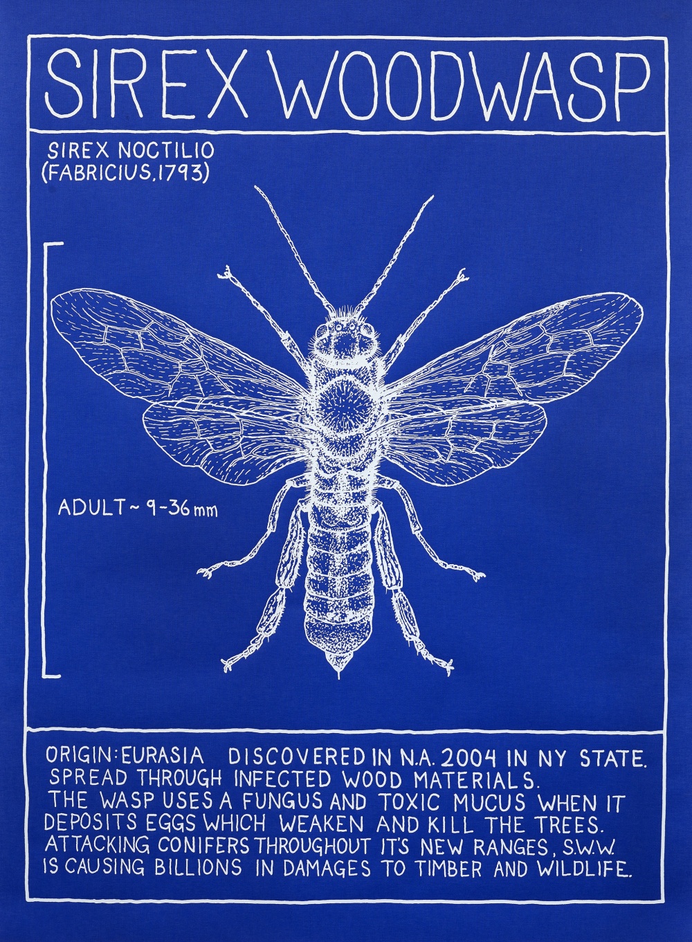 Mark Dion Syrex Wood Wasp