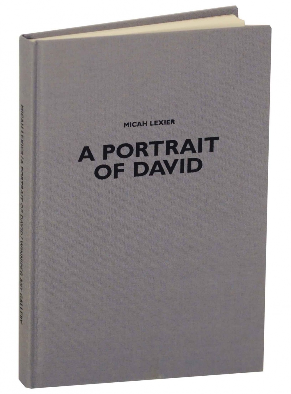 A Portrait of David cover