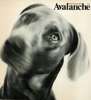 Avalanche Winter/Spring 1973