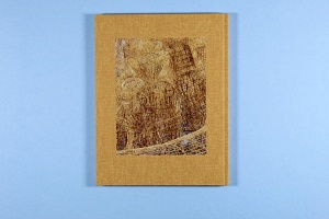 Ai Weiwei: Life Cycle