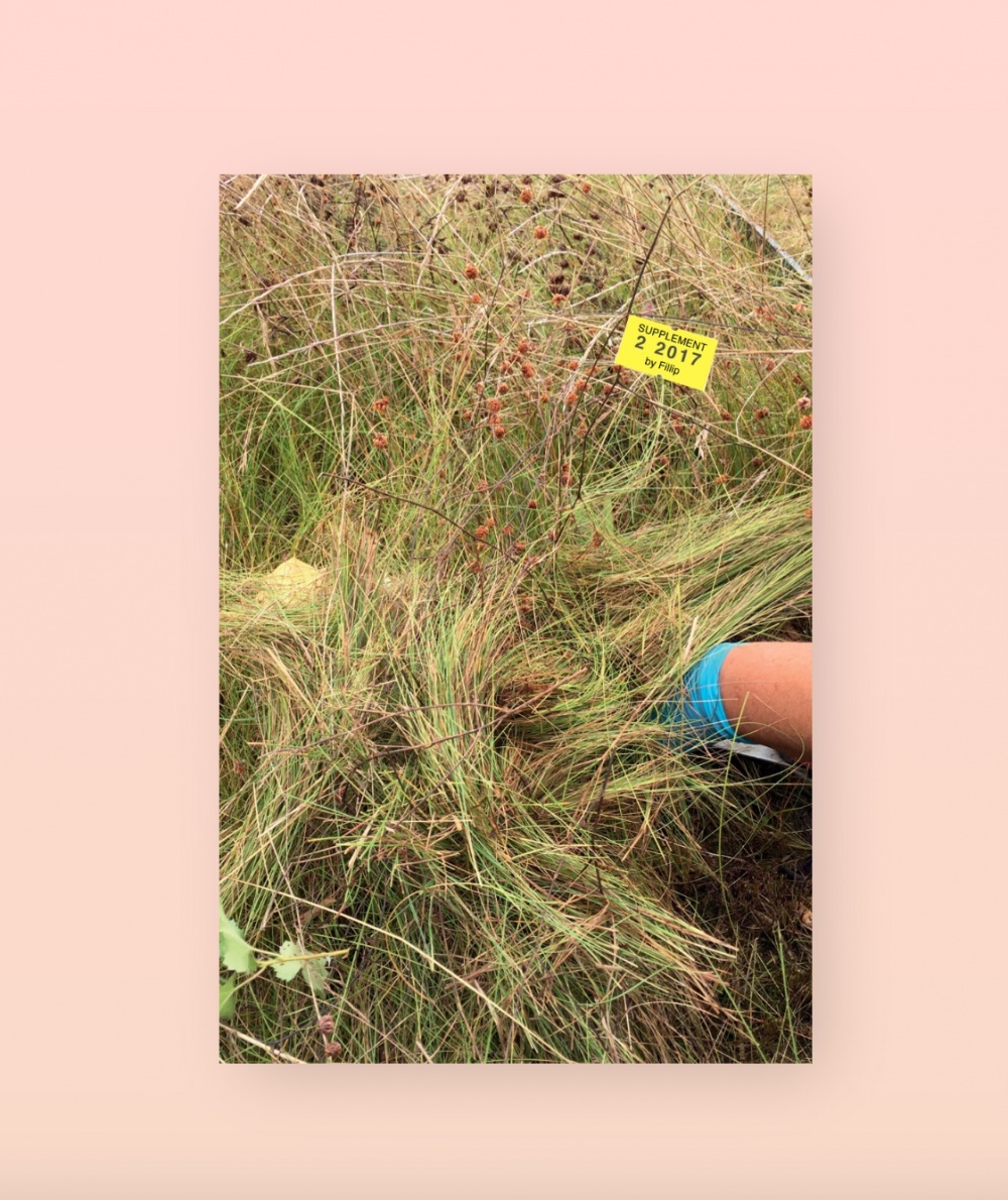 Supplement 2 