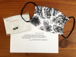 Germaine Koh: Crowd Shyness