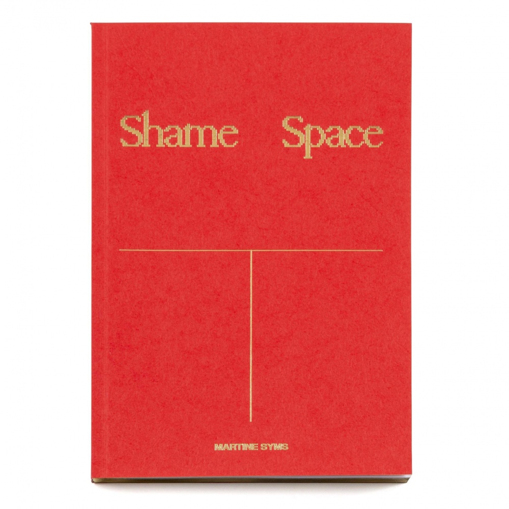 Shame Space
