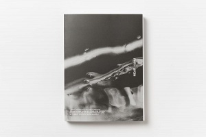 FAR-NEAR Volume Two: Taste-Distaste