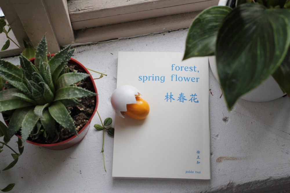 forest, spring flower