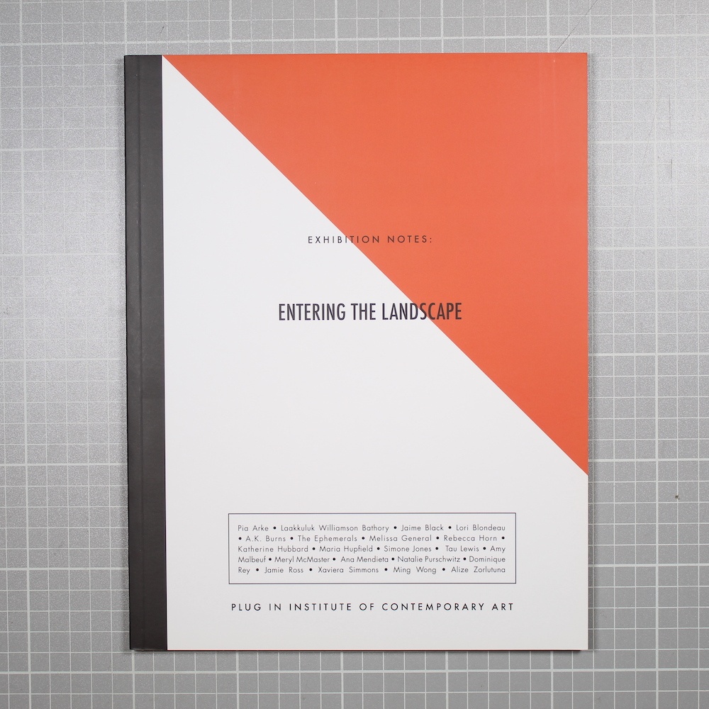 Exhibition Notes: Entering the Landscape