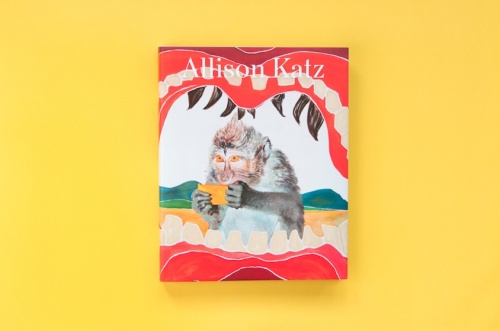 Allison Katz