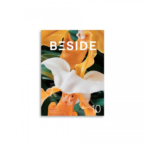 BESIDE Issue 10: Our Transformations