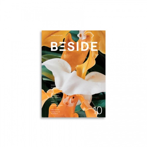 BESIDE Issue 10: Our Transformations