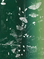 Alicia Nauta: A Moth Exits&#160;(Poster)