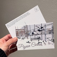 Shari Kasman: Pigeon Corner&#160;Postcard